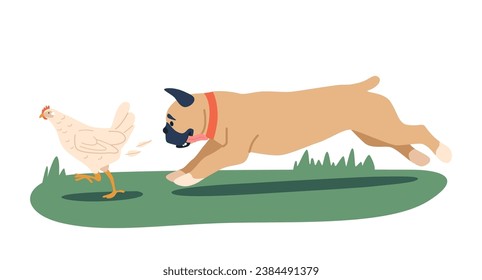 French Bulldog Dog Character Aggressively Chasing A Chicken Exhibits Predatory Behavior, Posing Risk To The Bird Safety