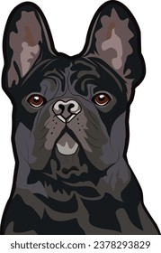 French Bulldog Dog Face isolated vector illustration