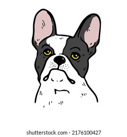 French bulldog dog face. Vector cartoon portrait of a dog. Pets, dog lovers, animal themed design element isolated on white background.