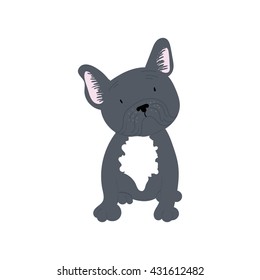 French Bulldog Dog Grey Puppy Hand Drawn Vector