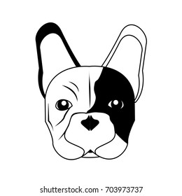 french bulldog dog icon image 