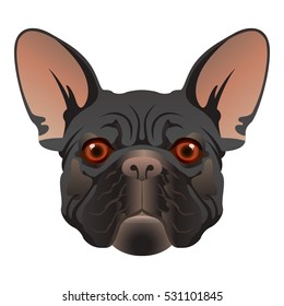 French Bulldog. Dog muzzle. Vector illustration.
