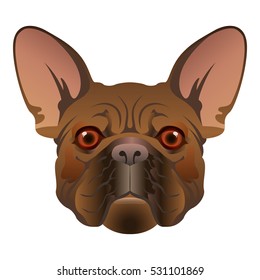 French Bulldog. Dog muzzle. Vector illustration.