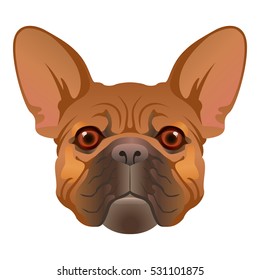 French Bulldog. Dog muzzle. Vector illustration.