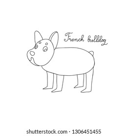 French Bulldog. Dog on a white background. Vector dog illustration