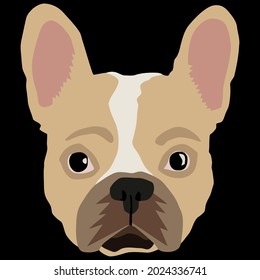 french bulldog dog pet wo ( design vector illustration for use in design and print wall art poster canvas