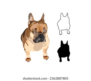 Retrato de perro Bulldog francés. Pegar en un fondo blanco. Dibujo detallado de bulldog. Estilo de caricatura. Carácter popular. Golpe negro, contornos de perro. Silueta de bulldog blanco y negro. Plano