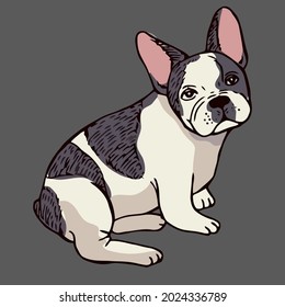 french bulldog dog dog puppy frenchie funny animal wo cropped ( design vector illustration for use in design and print wall art poster canvas