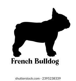 French Bulldog Dog silhouette dog breeds logo dog monogram logo dog face vector