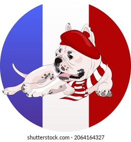 French bulldog dog wearing a hat and a scarf with the french national flag on the background vector illustration