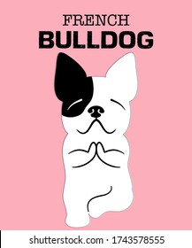 French bulldog doing yoga. French dog hand drawn. Vector illustration art on pink pastel background.