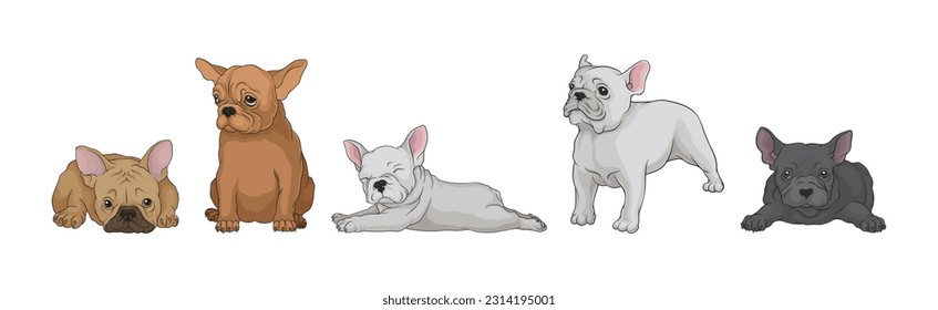 French Bulldog as Domestic Breed Lying and Standing Vector Set