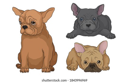 French Bulldog as Domestic Breed Sitting and Lying Vector Set
