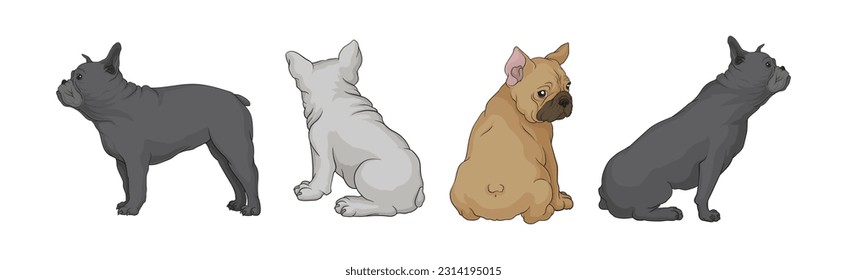 French Bulldog as Domestic Breed Sitting and Standing Vector Set