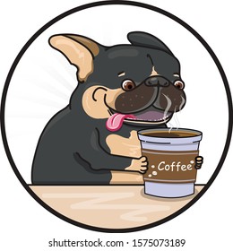 French Bulldog is drinking coffee