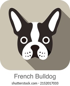 French bulldog face flat icon, dog series