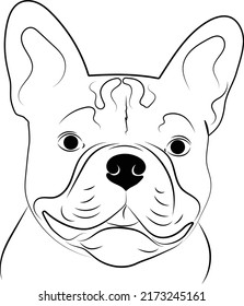 French Bulldog Face Head vector