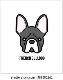 French Bulldog face isolated on white background