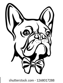 french bulldog face vector