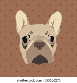 The french bulldog face. Vector illustration.