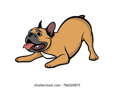 French bulldog fawn - isolated vector illustration