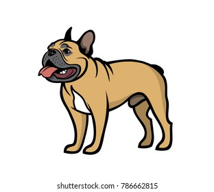 French bulldog fawn - isolated vector illustration