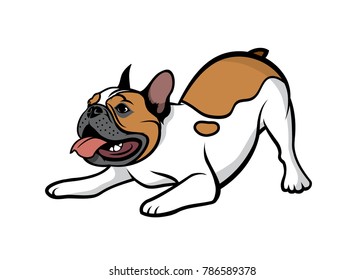 French bulldog fawn pied - isolated vector illustration