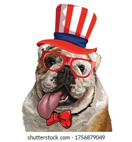 French Bulldog.USA flag.Vector Illustration.White background.