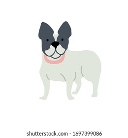 Dibujo vectorial plano francés sobre fondo blanco
