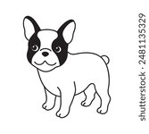 French bulldog (full body) black and white hand drawn cartoon portrait. Funny cute bulldog puppy face.