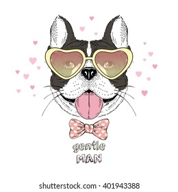 french bulldog gentleman in heart shaped sunglasses, hand drawn graphic, animal illustration