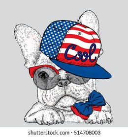 French Bulldog in glasses and a cap. Vector illustration for a card or poster. Print on clothes. Cute puppy.