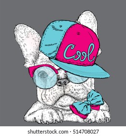 French Bulldog in glasses and a cap. Vector illustration for a card or poster. Print on clothes. Cute puppy.