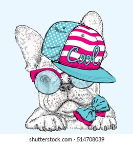 French Bulldog in glasses and a cap. Vector illustration for a card or poster. Print on clothes. Cute puppy.