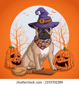 French Bulldog in Halloween disguise sitting on a broom and wearing witch hat with pumpkins