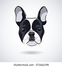 French bulldog head isolated on white background. Vector illustration