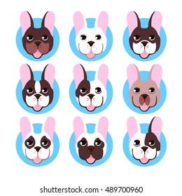 French bulldog head isolated on white background. Vector illustration set icon