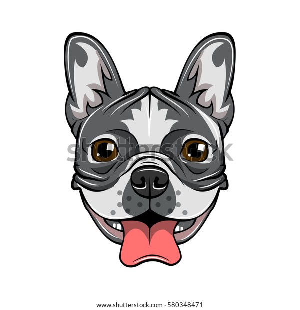 French Bulldog Head Isolated On White Stock Vector (Royalty Free) 580348471