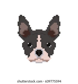 French Bulldog head in pixel art style. Dog vector illustration.