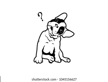 French Bulldog Head Rotation in Black & White