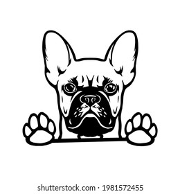 French bulldog head. Vector Cliipart. bulldog with glasses with paws svg