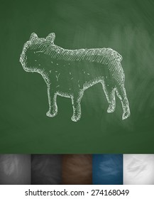 french bulldog icon. Hand drawn vector illustration. Chalkboard Design