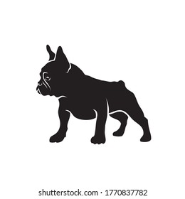 French bulldog icon - isolated vector illustration
