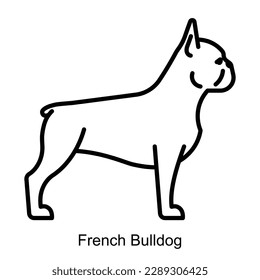 French bulldog icon. Purebred dog is standing, side view. Breed domestic pet sign in minimalist style. Editable strokes, thin line. For label, pet shop, dogs nutrition, dog event.