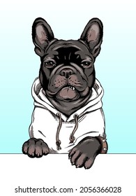  French bulldog illustration. Angry dog ​​sketch. Image for printing on any surface