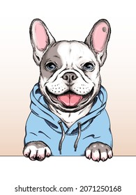 French bulldog illustration. Happy dog ​​sketch. Image for printing on any surface	