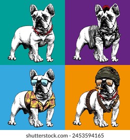 French bulldog illustration vector outfits