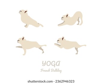 French Bulldog illustration, yoga dogs poses and exercises. Vector clipart. Simple icons, sport-related funny postcart. Yoga card. Healthy topic. Bulldog creative illustrations.