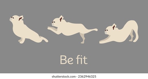 French Bulldog illustration, yoga dogs poses and exercises. Vector clipart. Simple icons, sport-related funny postcart. Yoga card. 3 yoga poses set, doodle style.