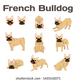 French bulldog illustration,dog poses,dog breed